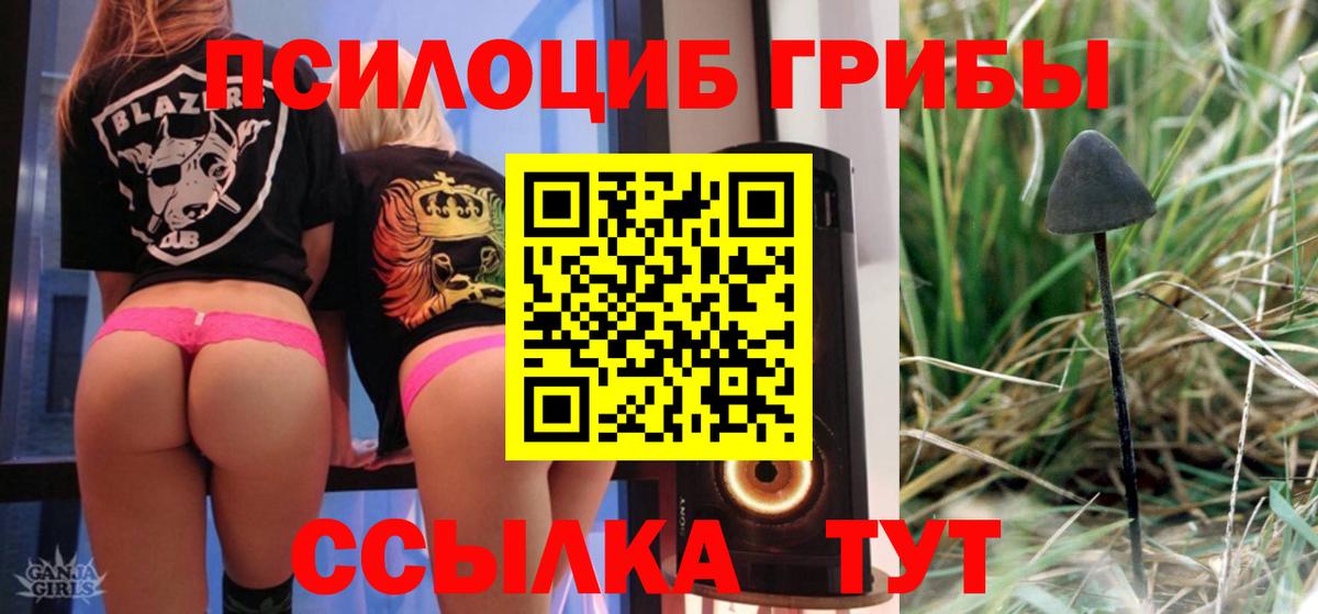 Алексин  Псилоцибиновые грибы MAGIC MUSHROOMS  наркотики  Псилоцибиновые грибы ЛСД  Вход с VPN 